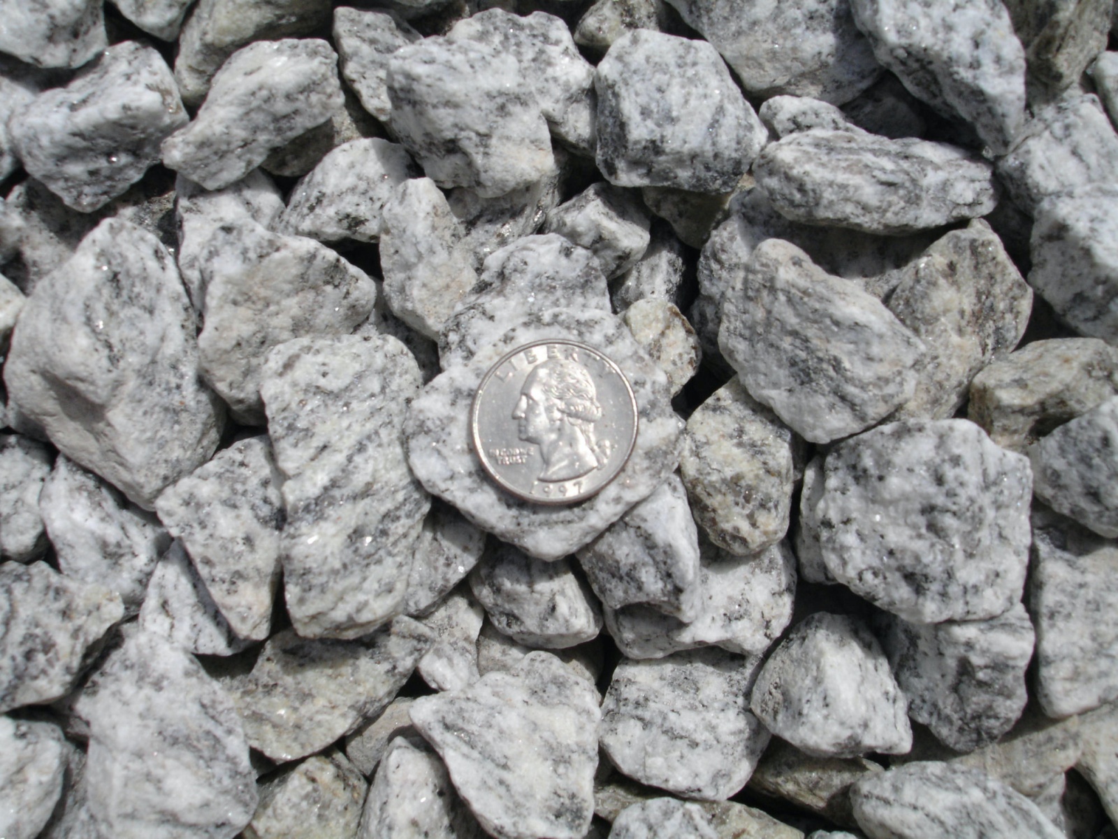 Zebra stone dry